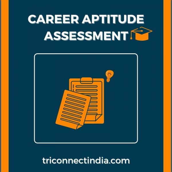 Career Aptitude Assessment Corporate Executive